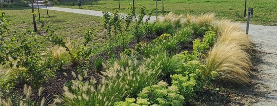 Gestione verde, parchi e giardini