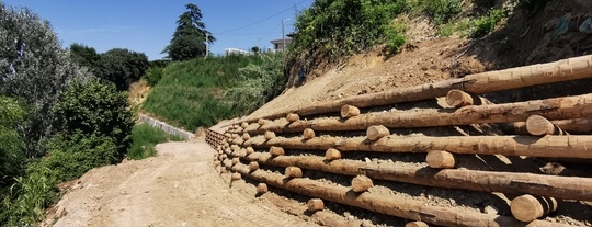Ingegneria naturalistica