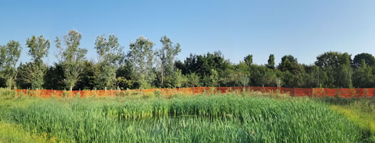 Completamento Parco Berlinguer