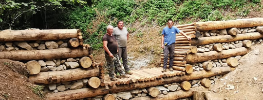 Difese spondali - Briglie