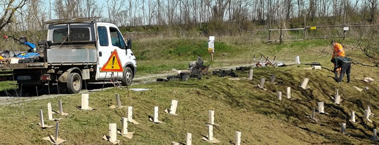 Riqualificazione ecosistema fluviale