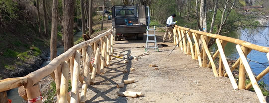 Piantumazioni e sistemazione