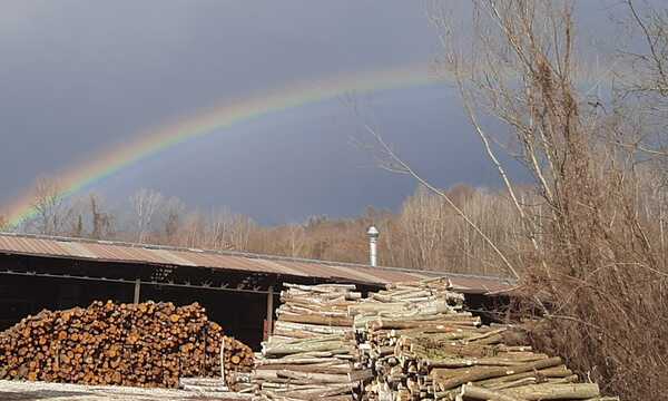 Siamo su Instagram e LinkedIn