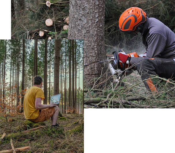 Valli Unite del Canavese - Chi siamo