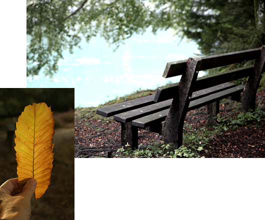 Valli Unite del Canavese - Filosofia